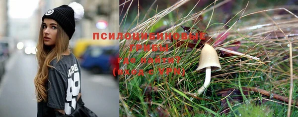 метадон Белокуриха