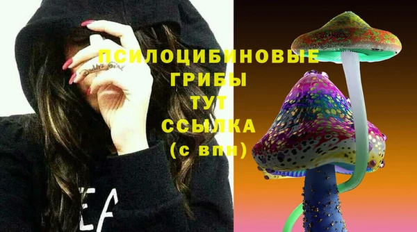 метадон Белокуриха