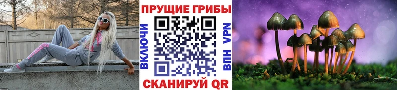 Псилоцибиновые грибы мицелий  наркота  Неман 