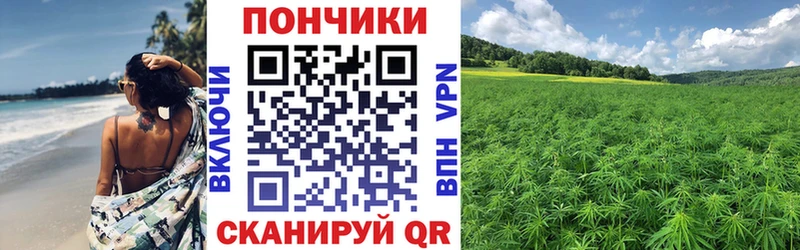 Бошки Шишки конопля  гидра маркетплейс  Неман 